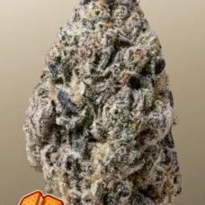 BISCOTTI GELATO™